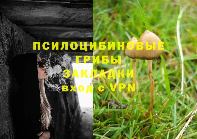 Галлюциногенные грибы MAGIC MUSHROOMS  сайты даркнета клад  Новочебоксарск 